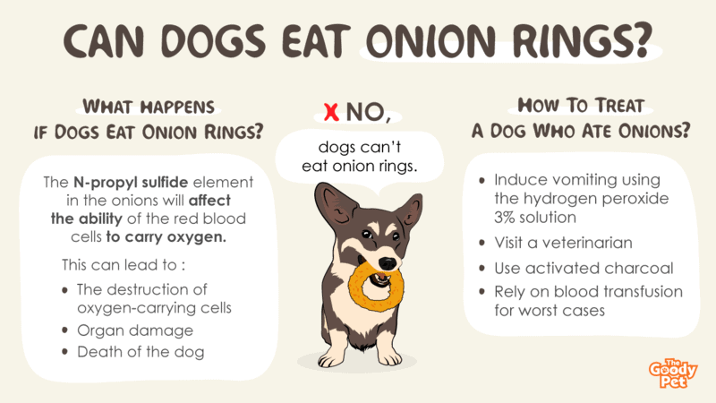 what will happen if my dog eats onions