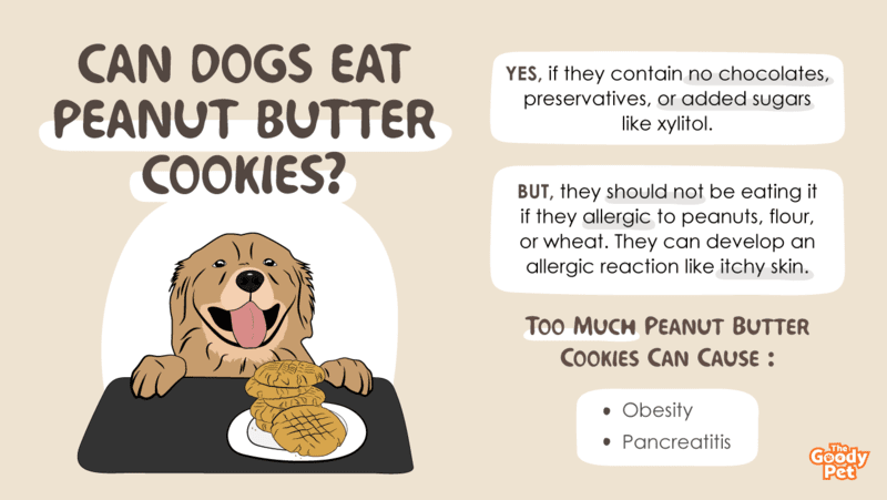 Can Dogs Eat Peanut Butter Cookies? Warning! It Depends On The Ingredients  Used - The Goody Pet