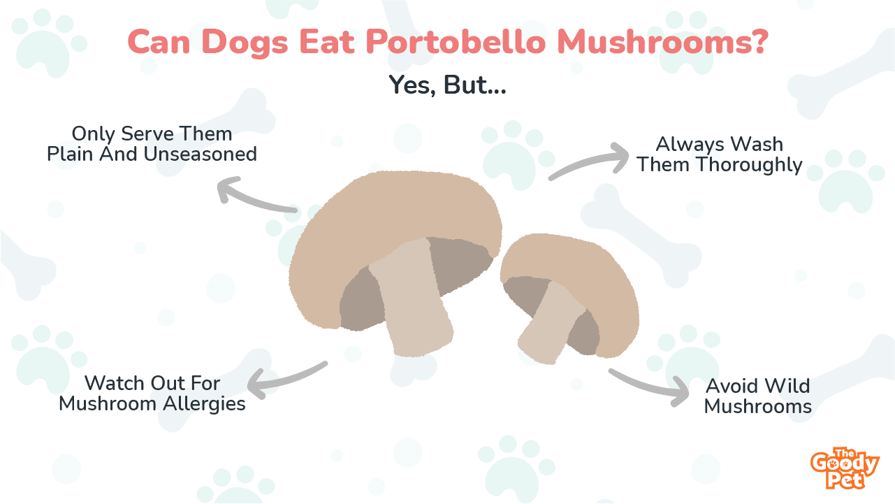 can you touch your dog on mushrooms