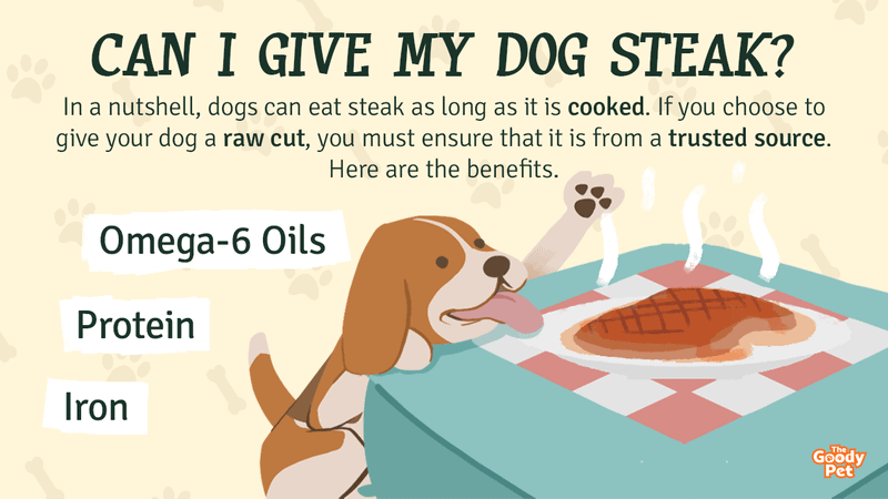 can i give my dog cooked steak