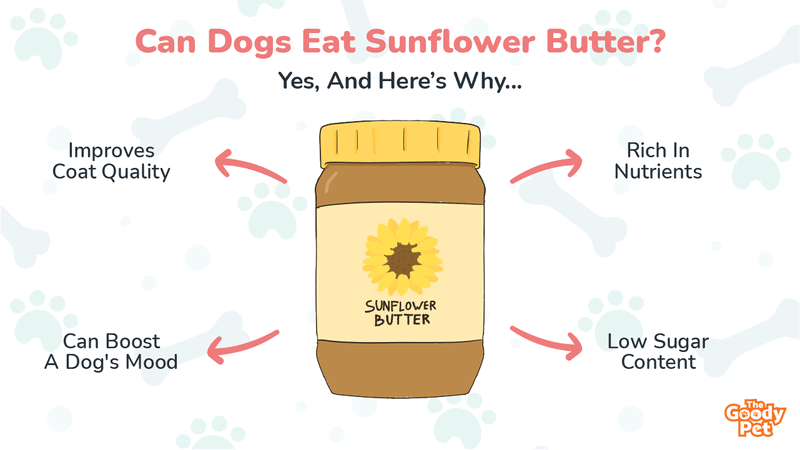 Can Dogs Eat Sunflower Butter? Is It Safe? - The Goody Pet