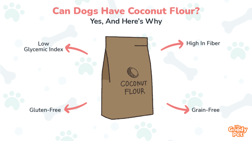 Can Dogs Have Coconut Flour? 3 Reasons Why It Is Beneficial The Goody Pet