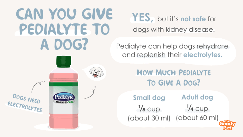 can puppies drink pedialyte