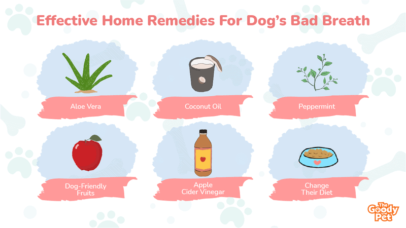 dog has bad breath home remedies