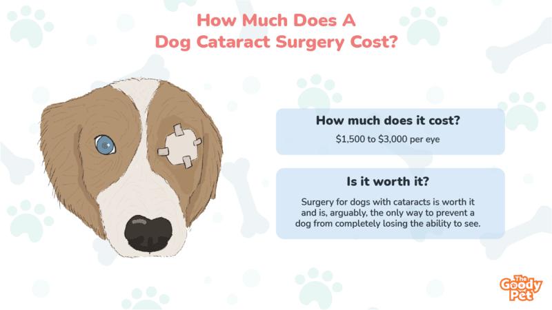 how much does dog eye surgery cost