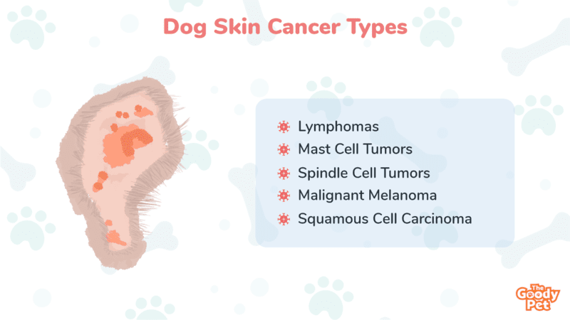 Dog Skin Cancer Chart