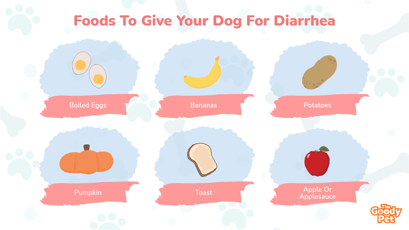 does apples help dog diarrhea
