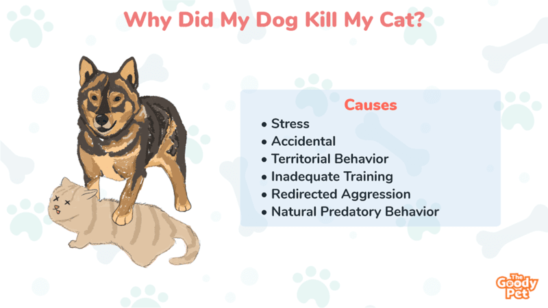 is it common for dogs to kill cats