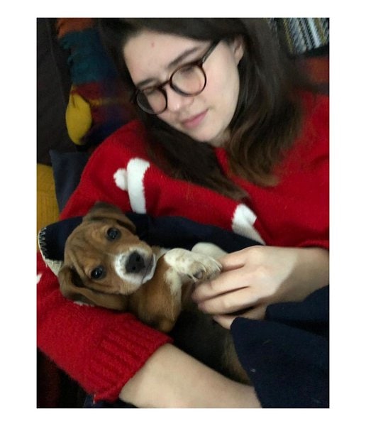 How Do You Take Care Of A Puppy For Beginners? The Goody Pet