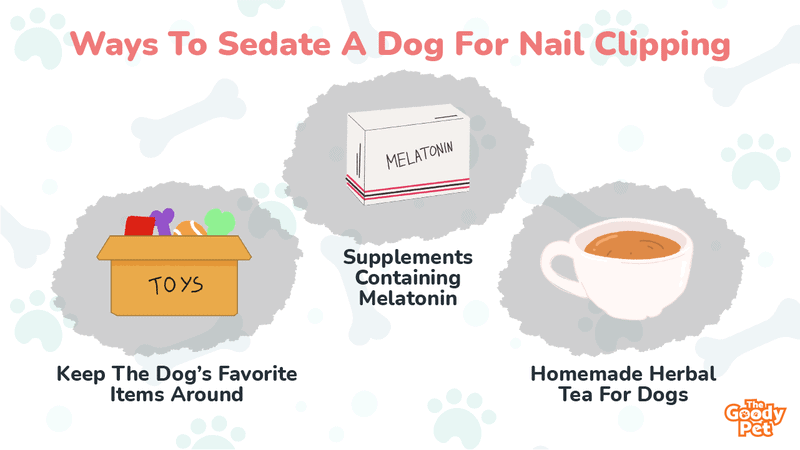 How To Properly Sedate Your Dog For Nail Clipping? - The Goody Pet