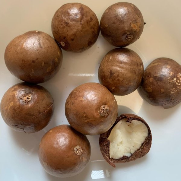 The 27 Worst Foods That Are Bad For Dogs (Warning Toxic!) The Goody Pet