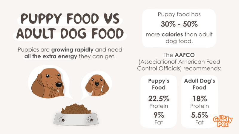 whats the difference between puppy and senior dog food