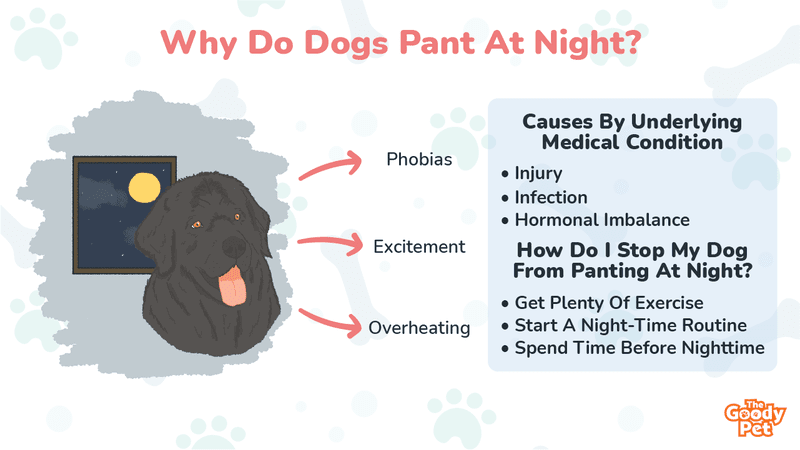 gabapentin dog panting at night