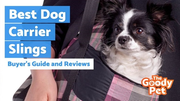 12 Best Dog Carriers 2023