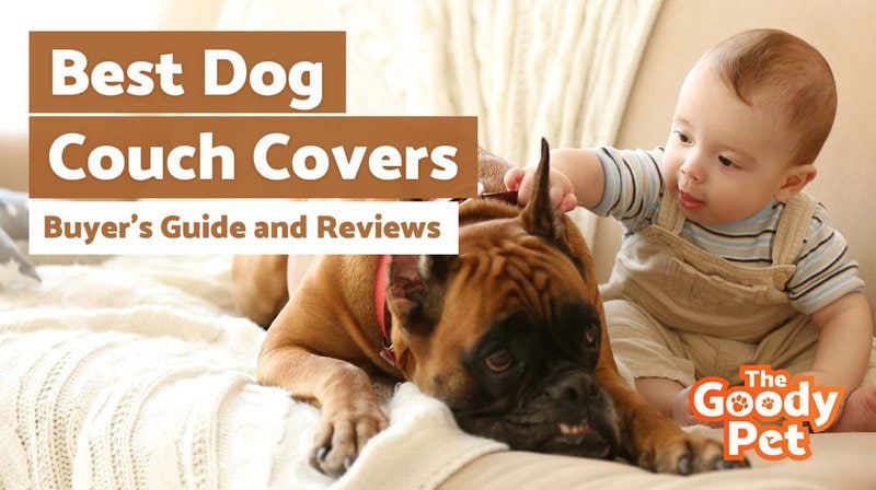 what is the best couch cover for dogs