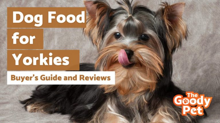 how much to feed a yorkshire terrier puppy