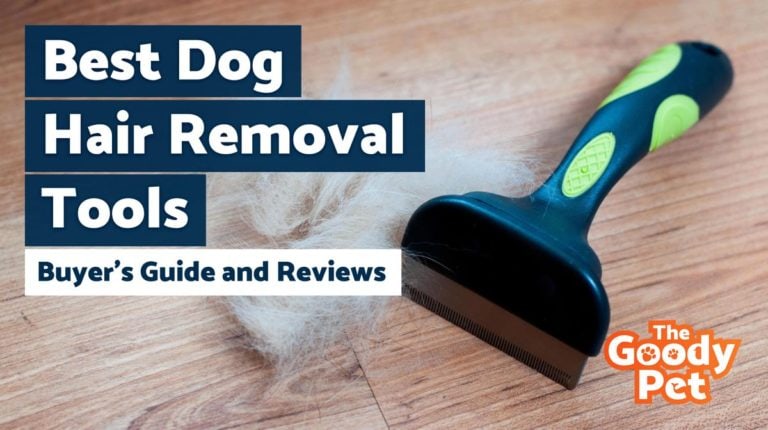 14 Best Dog Hair Removal Tools (February 2023: Reviews) - The Goody Pet
