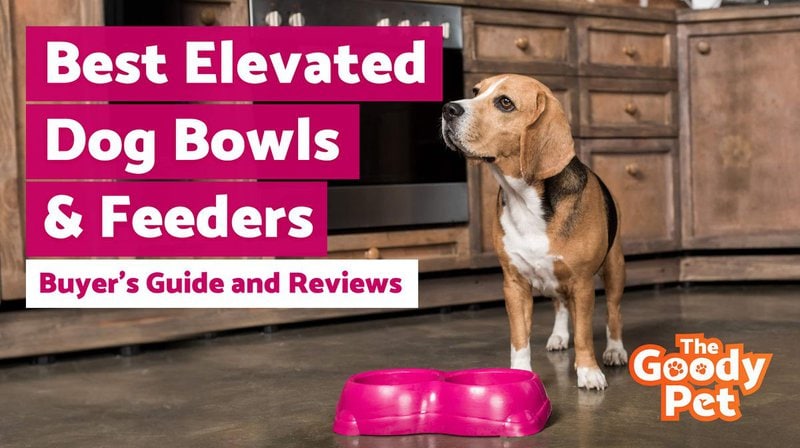 OurPets Comfort Diner Elevated Dog Food Dish (Raised Dog Bowls Available in  4 inches, 8 inches and 12 inches for Large Dogs, Medium Dogs and Small Dogs),  4-inch 