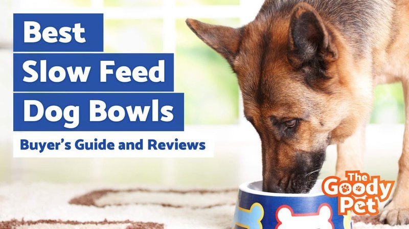 PINJUM Dog Bowls Slow Feeder Fun Stop Bloat Dog Bowl Pet Non-Slip Drink Water Bowl Square Base 