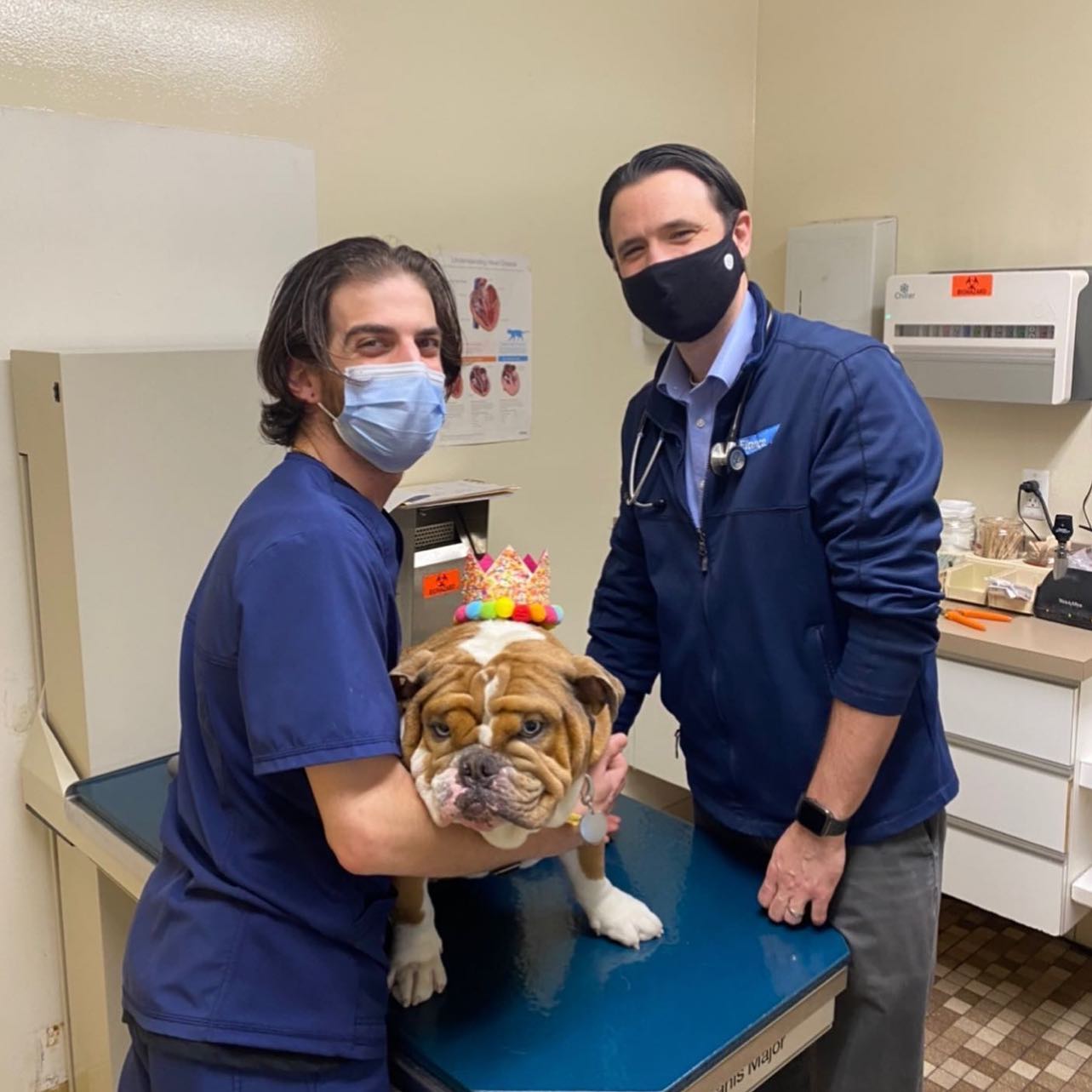 Top 17 Veterinarians In Staten Island, Richmond [Updated 2022] The Goody Pet