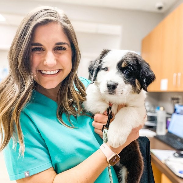 Top 31 Veterinarians In Charlotte, North Carolina [Updated 2022] The