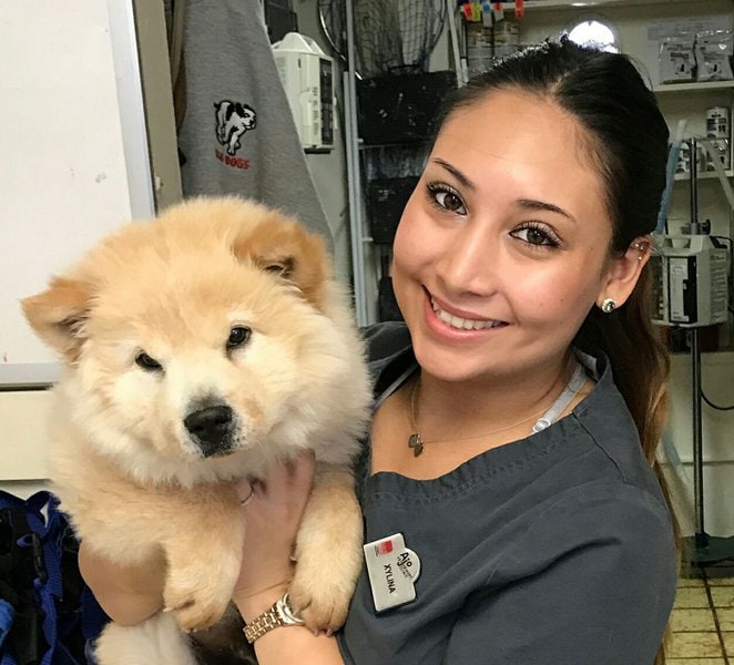 Top 26 Veterinarians In Tucson, Arizona [Updated 2022] The Goody Pet