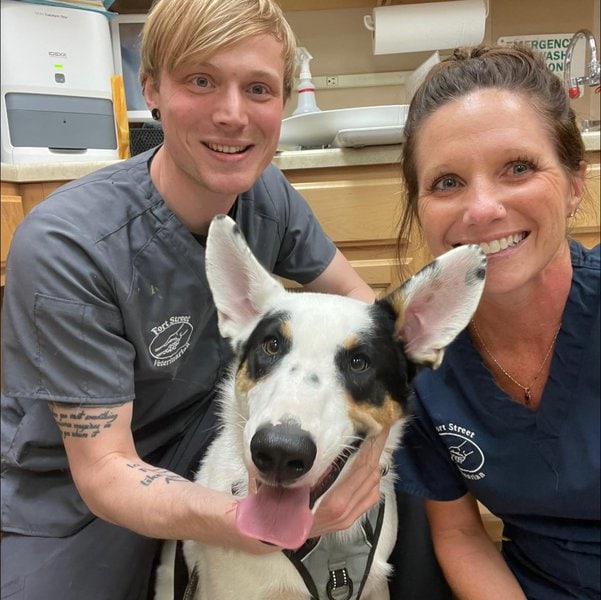 Top 24 Veterinarians In Omaha, Nebraska [Updated 2023] The Goody Pet