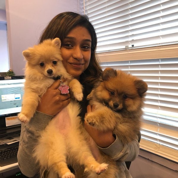 Top 15 Veterinarians In The Bronx, Bronx [Updated 2023] The Goody Pet