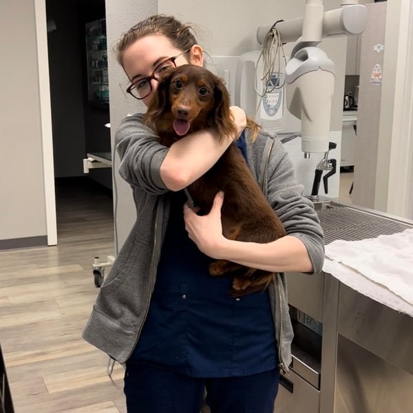 Top 18 Veterinarians In In Dallas, Texas [Updated 2022] The Goody Pet