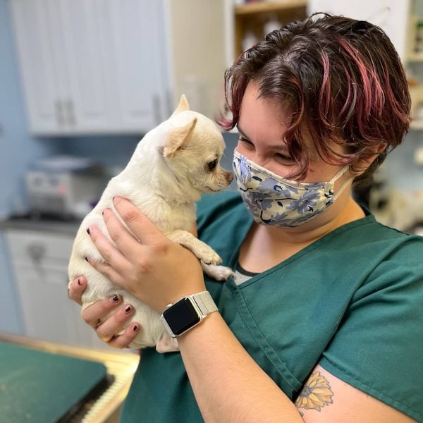 Top 22 Veterinarians In Boston, Massachusetts [Updated 2022] The