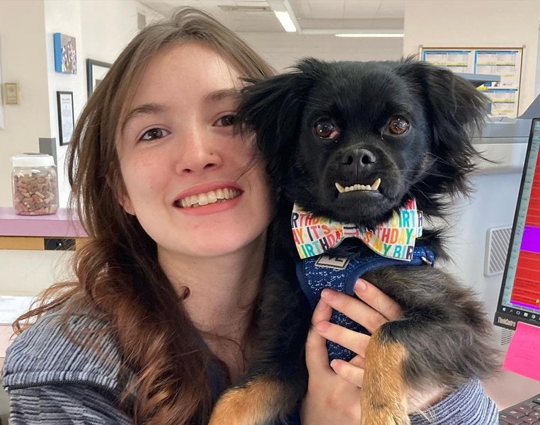 Top 26 Veterinarians In Albuquerque, New Mexico [Updated 2022] The