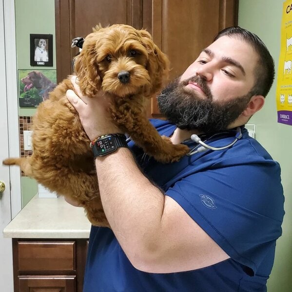 Top 28 Veterinarians In Brooklyn, New York [Updated 2022] The Goody Pet