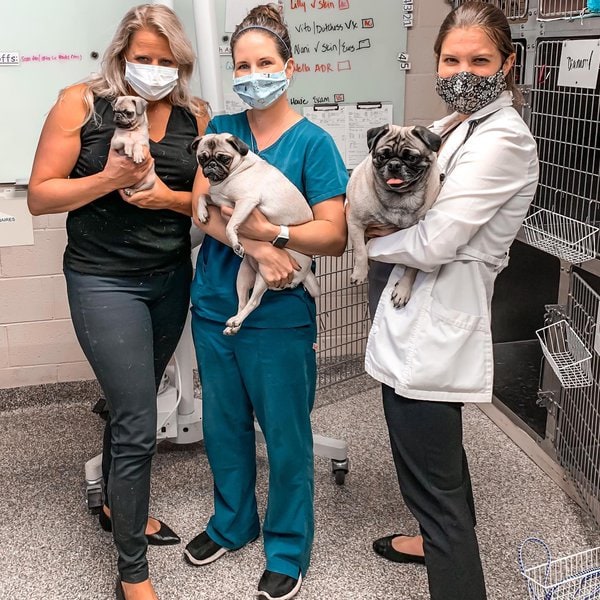 Top 21 Veterinarians In Fresno, California [Updated 2022] The Goody Pet