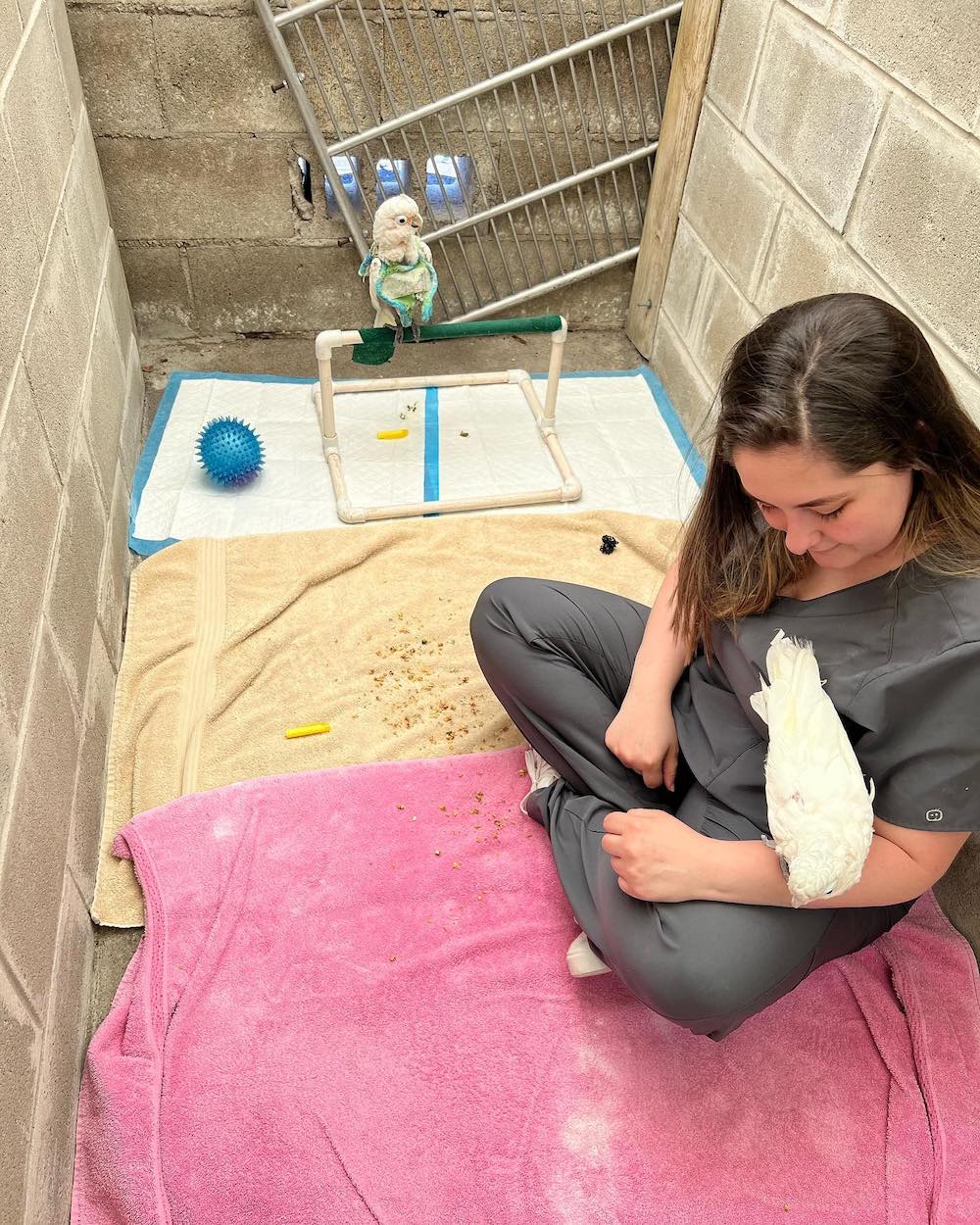 Top 17 Veterinarians In Staten Island, Richmond [Updated 2022] The