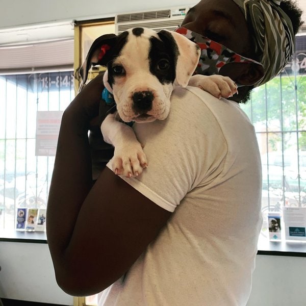 Top 15 Veterinarians In The Bronx, Bronx [Updated 2023] The Goody Pet