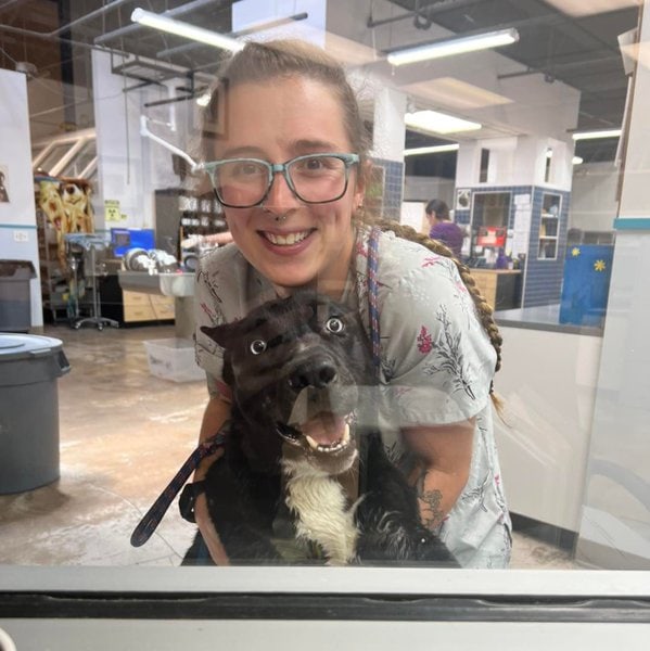 Top 22 Veterinarians In Fort Worth, Texas [Updated 2022] The Goody Pet