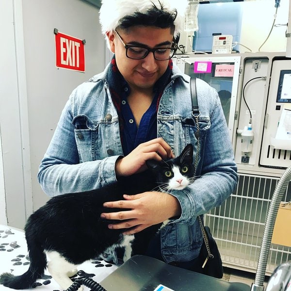 Top 17 Veterinarians In Queens, New York City [Updated 2023] The