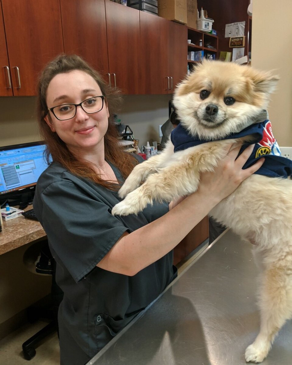 Top 17 Veterinarians In Staten Island, Richmond [Updated 2022] The Goody Pet