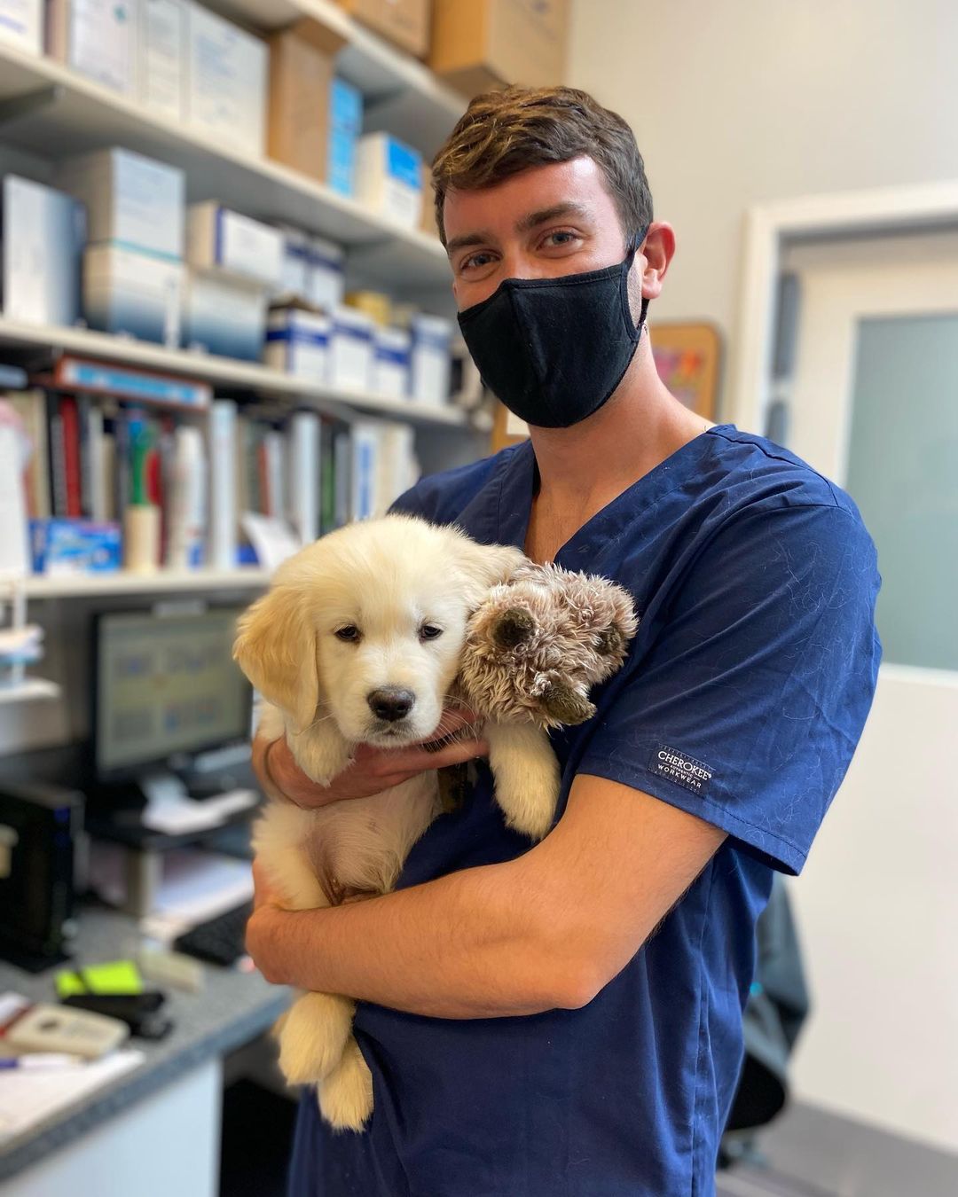 Top 18 Veterinarians In Washington, District Of Columbia [Updated 2022