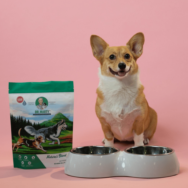 Dr. Marty Dog Food Review Is It Worth It? (June 2022 Reviews) The