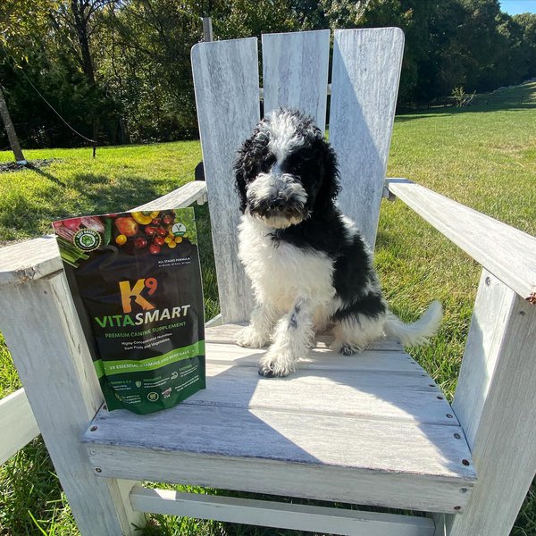 Ruff Greens Review Is It Worth It? (October 2022 Reviews) The Goody Pet