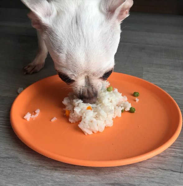 Can Dogs Eat Peas And Carrots? Here's Why They Can The Goody Pet