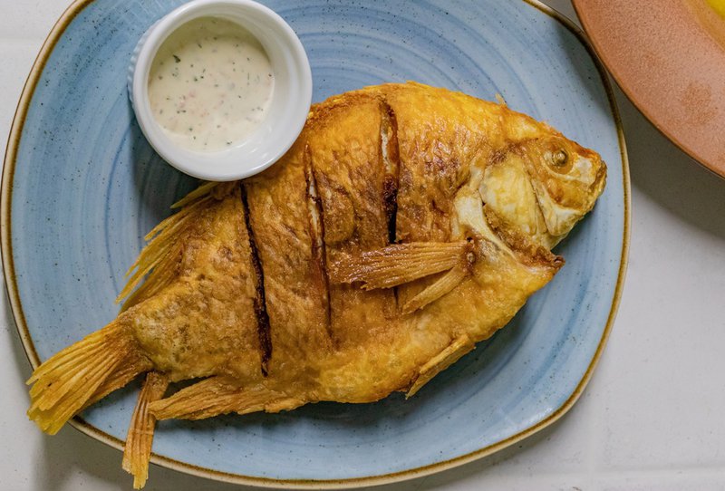 Can Dogs Eat Fried Fish? - The Goody Pet
