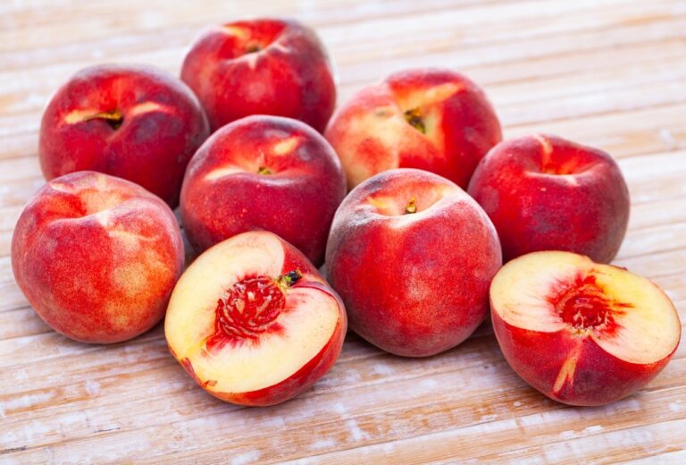 Can Dogs Eat Peaches? Check Out Their Amazing Benefits Right Here The