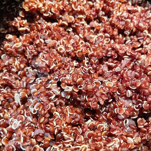 Can Dogs Have Quinoa? Three Top Reasons Why This Is Such A Good Idea