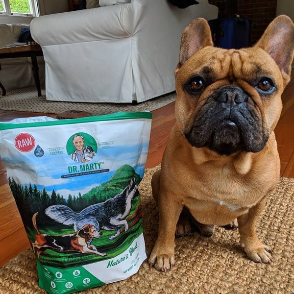 Dr. Marty Dog Food Review Is It Worth It? (June 2022 Reviews) The