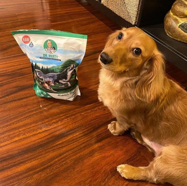 Dr. Marty Dog Food Review Is It Worth It? (June 2022 Reviews) The