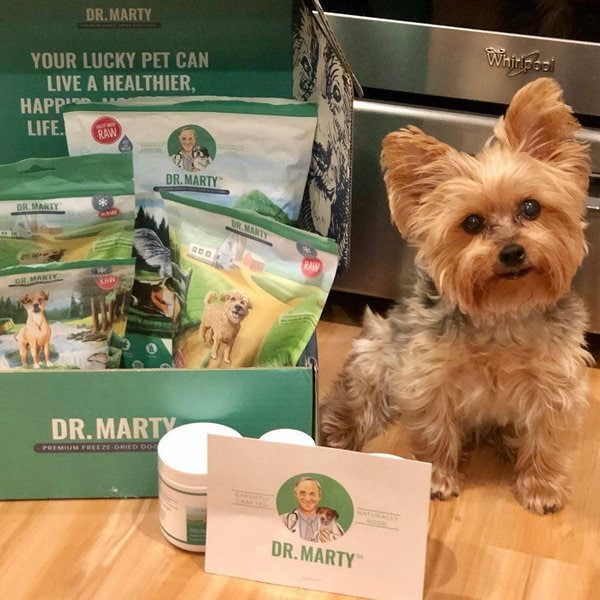 Dr. Marty Dog Food Review Is It Worth It? (June 2022 Reviews) The