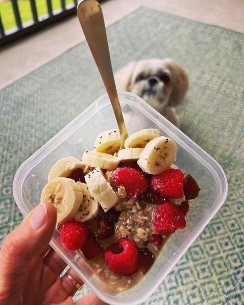 Photo inspiration: Dog Eating Oats Seeds And Having Diarrhea Reference: Can Dogs Eat Chia Seeds Here S The Right Way