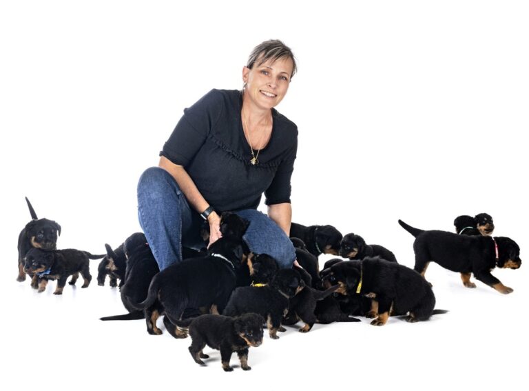 How To Choose A Good Dog Breeder? 13 Green And Red Flags To Look Out